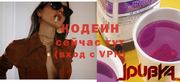 apvp Вязьма