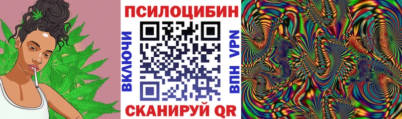 Галлюциногенные грибы прущие грибы  Зарайск 